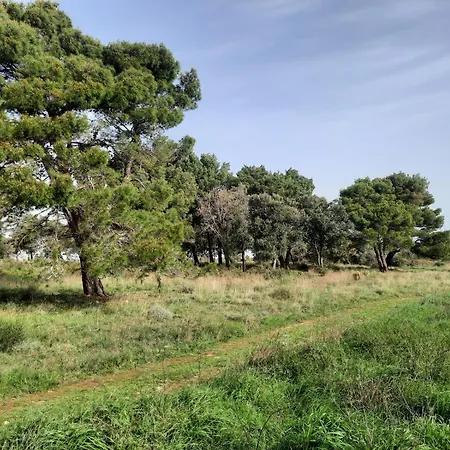 Apartament Pablo