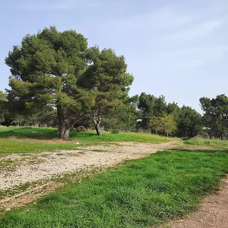 Appartamento Pablo *