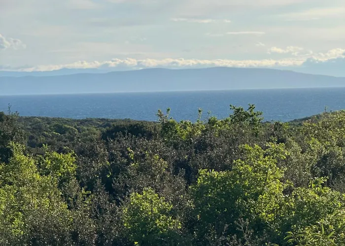 Lejlighed Pablo Ližnjan